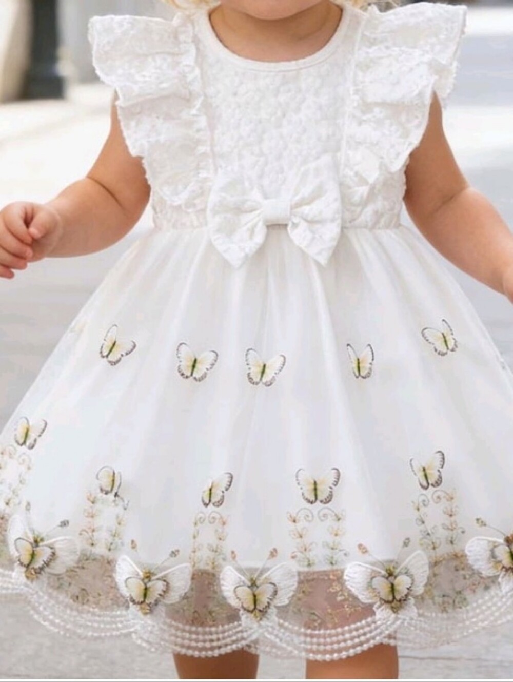 Butterfly Embroidered Flying Sleeve Tulle Dress 3-6 months